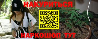 mdpv Можга