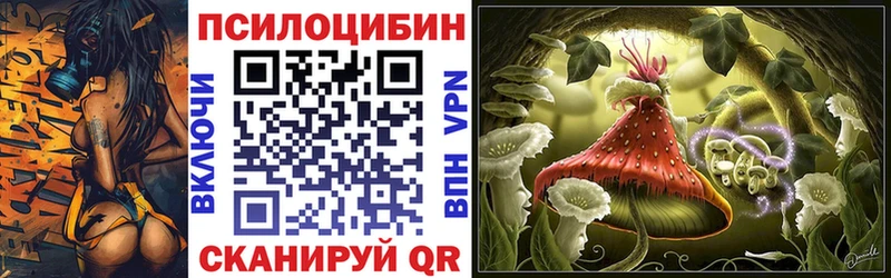 где продают   Элиста  KRAKEN как войти  Псилоцибиновые грибы Psilocybine cubensis 