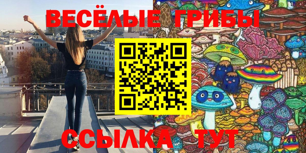 Галлюциногенные грибы GOLDEN TEACHER  Псилоцибиновые грибы Psilocybe  Вход с VPN  купить закладку  Элиста 