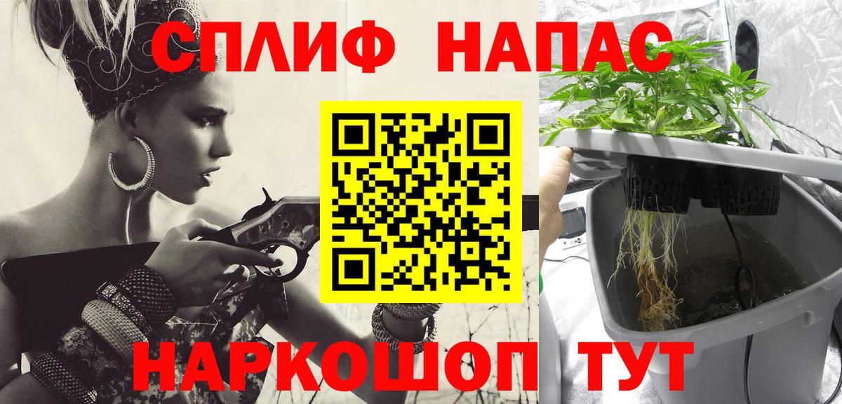 Элиста  Шишки марихуана VHQ  Бошки Шишки сатива  Каннабис MAZAR  Вход с VPN 